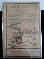 Book-Bucking the Sagebrush (Oregon Trail in 70's)