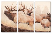 Call of the Wild Triptych