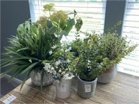 6PC ASSORTED GREENERY