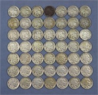 (49) Buffalo Nickels