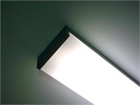 4' Ceiling Light