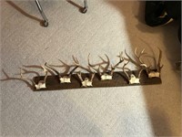 Barn Board w/ 6 Attached Sets of Antlers