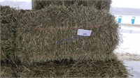 38 1st Alfalfa Grass