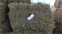 19 3rd Alfalfa Timothy - Not Baled Very Tight