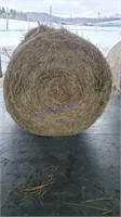 2 Round Bales 1st Timothy - Stored Inside