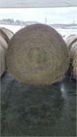 2 Round Bales 2nd Alfalfa Mix