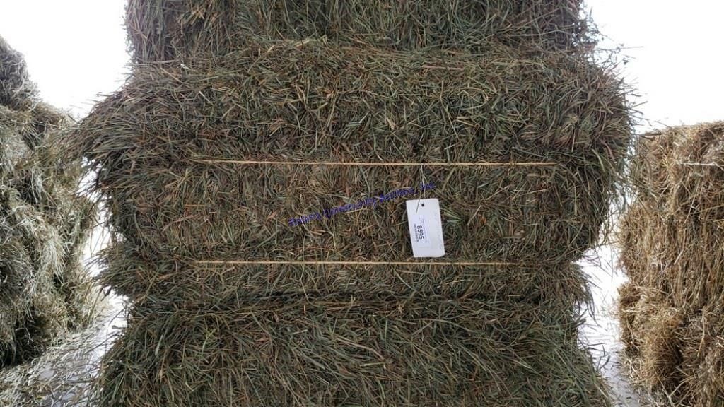 Hay & Grain Online Auction  2-24-21