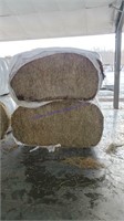 2 Large Squares 2nd Grass Alfalfa - Wet Wrapped