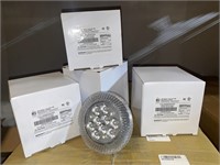 (4) MSI Solid State Lighting Bulbs