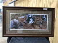 Signed Print of White Tailed Deer
