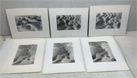 (6) Snow Photographs, Acid Mounted, 16x12