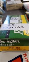 Remington 243 20 casings