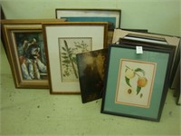 Lot of various pictures including botanicals.