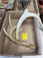 DEER ANTLER LOT