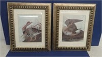 2 Framed Duck Prints
