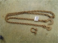 16' Chain with Clevis
