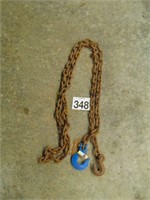 12' Chain