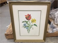 Framed Picture of a Flower Philadelphia Botanical
