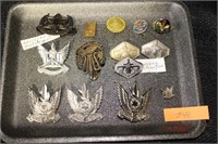 Lot of Israeli Military Badges and Pins