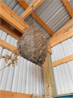 Bee's nest