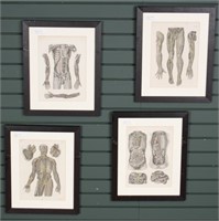 4 Anatomic Des Mensohen by Professor C.E. Bock