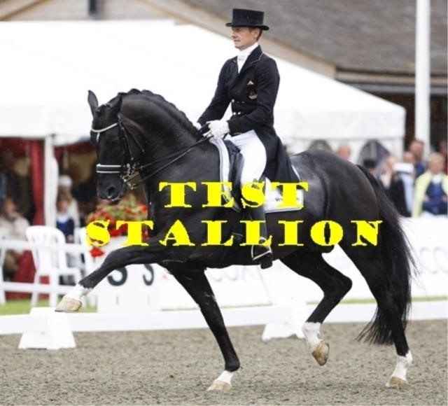 2021 Westfalen Stallion Service Auction