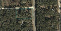 OLD TOWN, FL 2.64 ACRE VACANT RESIDENTIAL PARCEL