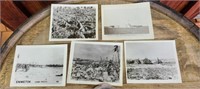 Lot of 5 vintage war photos