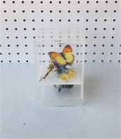 Butterfly Music Box