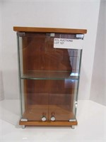 SMALL GLASS AND WOOD DISPLAY CASE