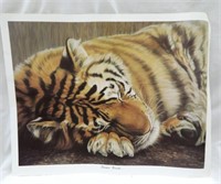 Poster-Sleepin' Beauty-Tiger- 28 x 23"