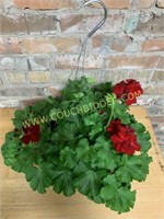 Hanging basket red geranium