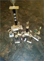 Collection of miscellaneous trophies