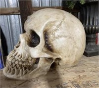 Large Skull Decoration