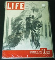 LIFE Magazine - November 26, 1945: Champion Afghan