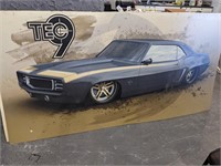 LARGE CAR PICTURE 8FT BY 4FT