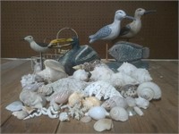 Seashells & Decor