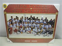 2002 Team Canada