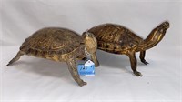 2 ANTIQUE TAXIDERMY ~ 10 1/2" & 11" LONG