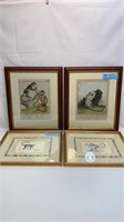 4 VARIOUS EARLY PRIMATE PRINTS