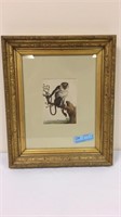 EARLY PRIMATE PRINT IN CARVED ANTIQUE FRAME