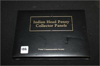 Indian Head Penny Collection Panels