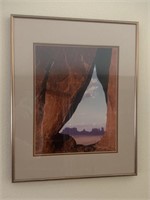 Red desert professional framed Art