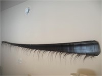 8’ Whale Baleen