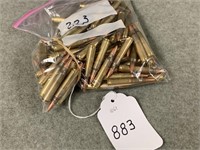 883. Fed. .223 55gr, 100 Rnds in Bag (1x The