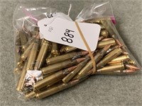 884. Fed. .223 55gr, 100 Rnds in Bag (1x The