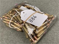 886. Fed. .223 55gr, 100 Rnds in Bag (1x The