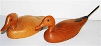 Drake & Hen Pintail Wood Ducks