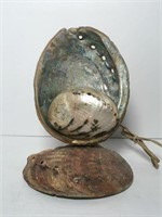 Abalone Shell Accent Light
