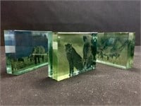 cubes of clear resin with embedded pictures